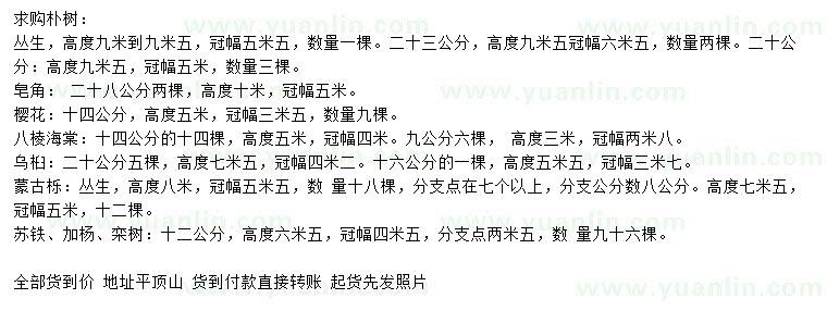 求購樸樹、皂角、櫻花等