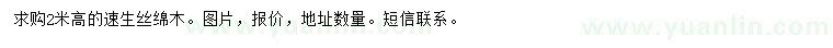 求購高2米速生絲綿木
