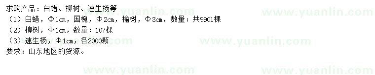 求購(gòu)白蠟、柳樹(shù)、速生楊