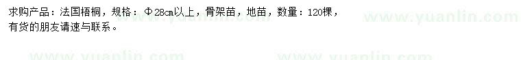 求購28公分以上法國梧桐