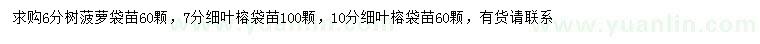 求購(gòu)6公分樹菠蘿、7、10公分細(xì)葉榕