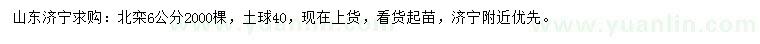 求購6公分北欒
