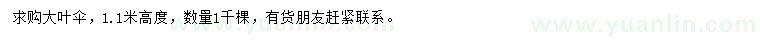 求購高1.1米大葉傘