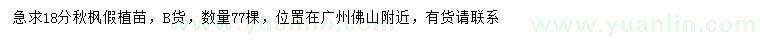 求購(gòu)18公分秋楓