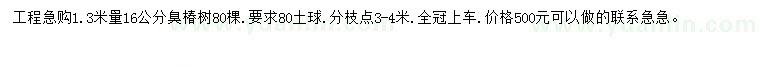 求購1.3米量16公分臭椿