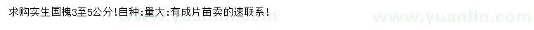 求購3-5公分實生國槐