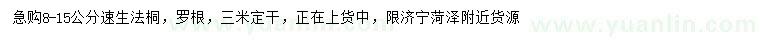 求購8-15公分速生法桐
