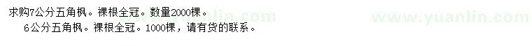 求購6、7公分五角楓