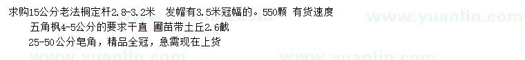 求購法桐、五角楓、皂角