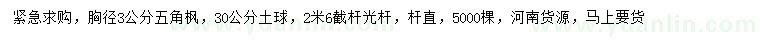求購胸徑3公分五角楓