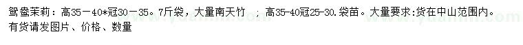 求購高35-40公分鴛鴦茉莉、南天竹