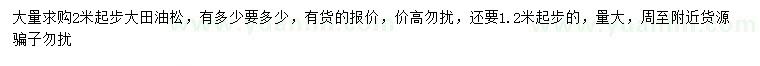 求購(gòu)2米以上大田油松