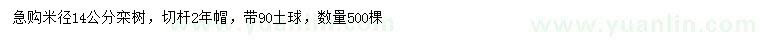 求購(gòu)米徑14公分欒樹(shù)
