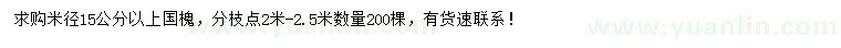 求購米徑15公分以上國槐