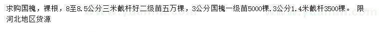 求購3公分國槐
