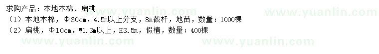 求購(gòu)30公分本地木棉、10公分扁桃