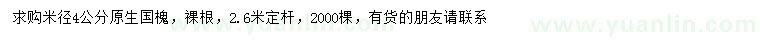 求購米徑4公分國槐
