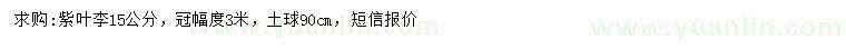 求購(gòu)15公分紫葉李