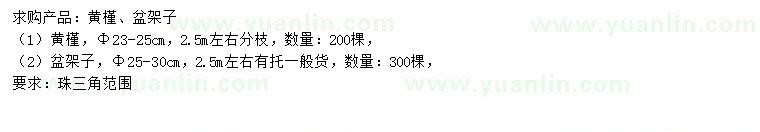 求購(gòu)23-25公分黃槿、25-30公分盆架子