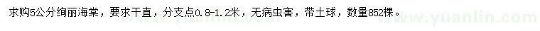 求購(gòu)5公分絢麗海棠