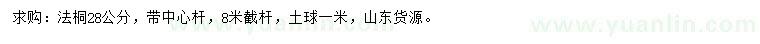 求購(gòu)28公分法桐