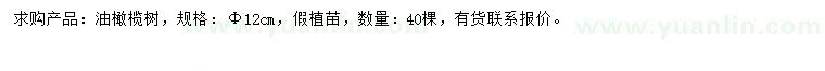 求購12公分油橄欖樹