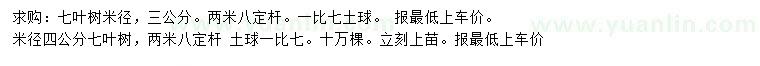 求購米徑3、4公分七葉樹