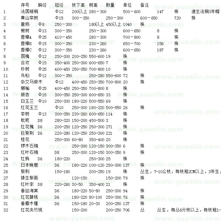 求購(gòu)法國(guó)梧桐、黃山欒樹、意楊等