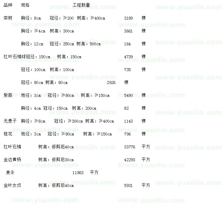 求購欒樹、紅葉石楠球、紫薇等