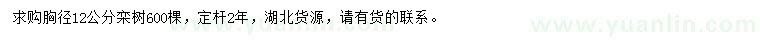 求購胸徑12公分欒樹