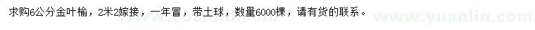 求購(gòu)6公分金葉榆