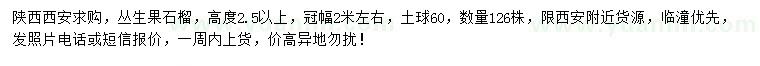 求購(gòu)高2.5米以上叢生果石榴