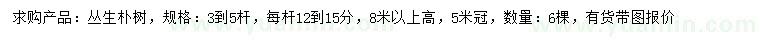 求購高8米以上叢生樸樹