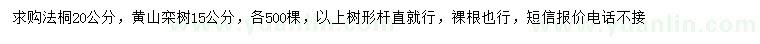 求購(gòu)20公分法桐、15公分黃山欒樹(shù)