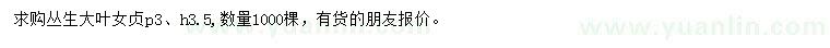 求購(gòu)高3.5米叢生大葉女貞