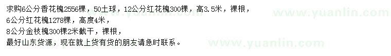 求購香花槐、紅花槐、金枝槐