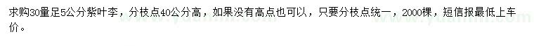 求購30量5公分紫葉李