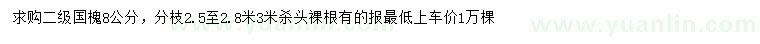 求購8公分國槐