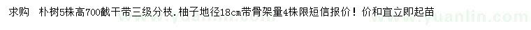 求購28-30公分樸樹、地徑18公分柚子