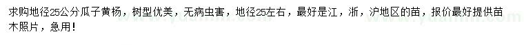 求購地徑25公分瓜子黃楊