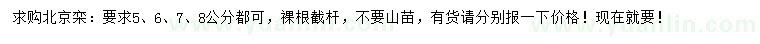 求購5、6、7、8公分北欒