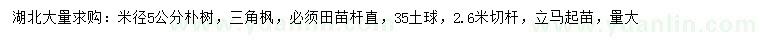 求購米徑5公分樸樹