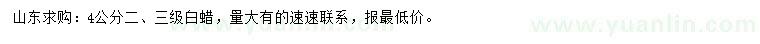 求購4公分白蠟