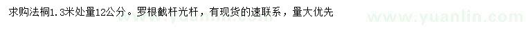 求購1.3米量12公分法桐
