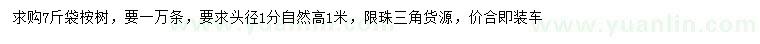 求購高1米桉樹