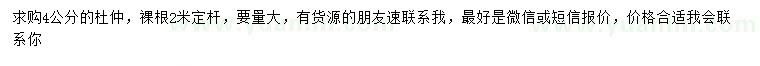 求購4公分杜仲