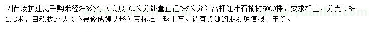 求購米徑2-3公分高桿紅葉石楠