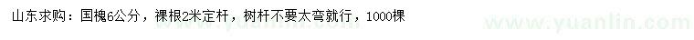 求購6公分國槐