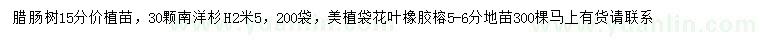 求購臘腸樹、南洋杉、花葉橡膠榕