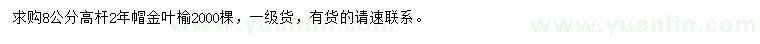 求購8公分金葉榆